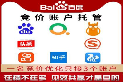 某电商平台的SEM服务全解析